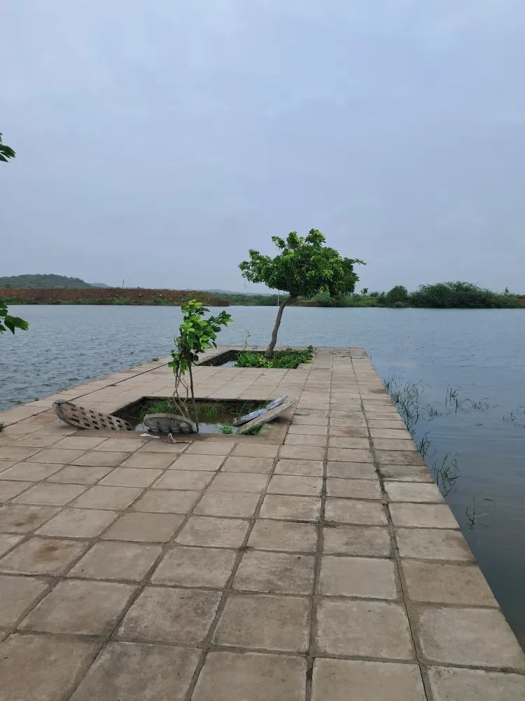 20230709 143747 in Kutch