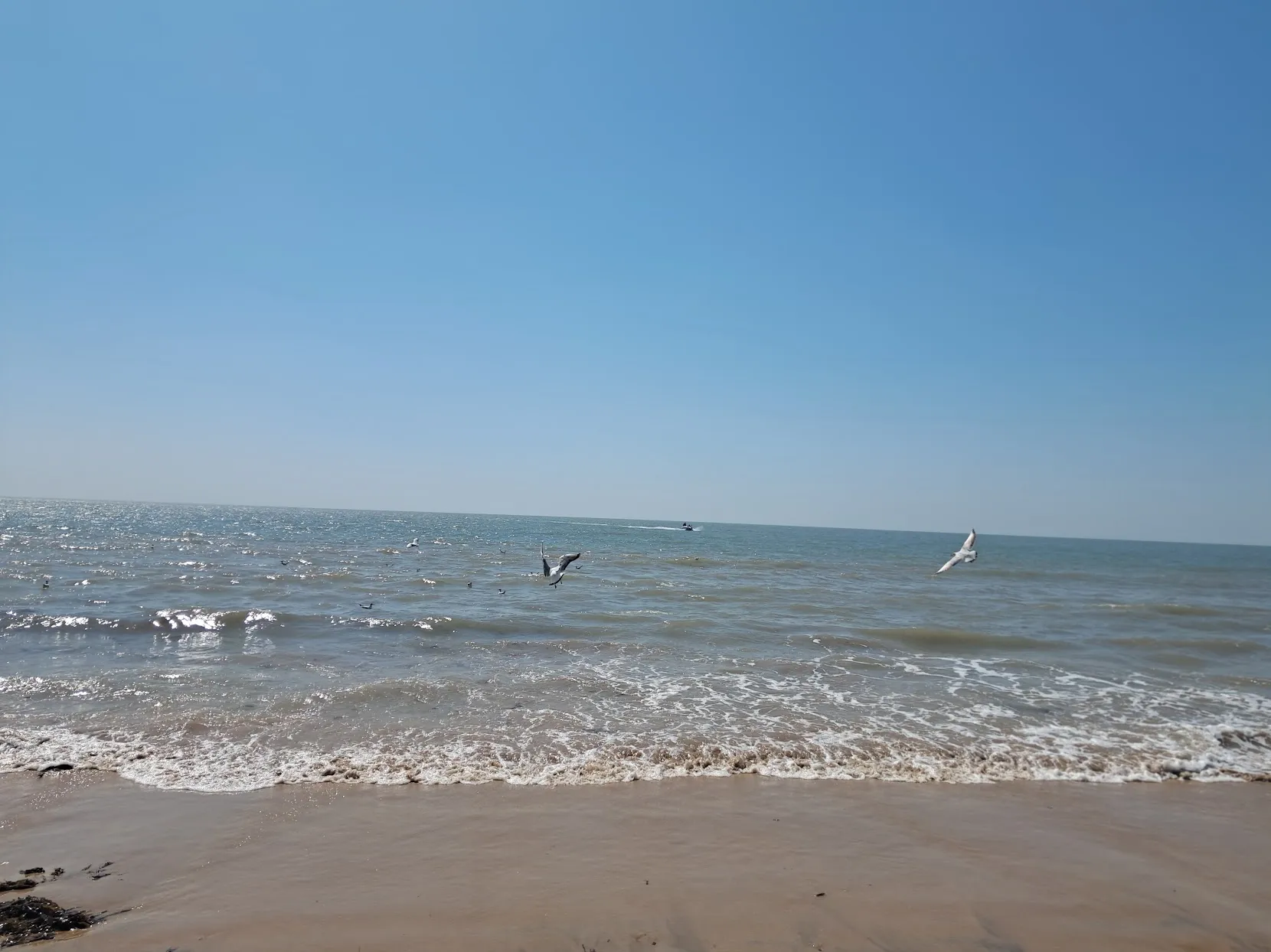 Tourists enjoying Mandvi Beach